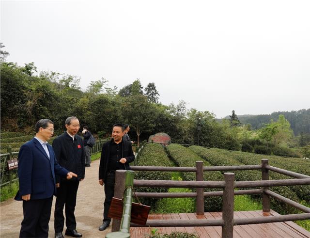 龙宇翔到福建南平武夷山考察调研