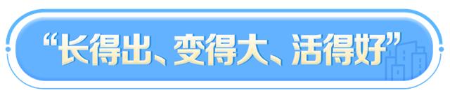 营商环境获评双前十，湖南凭什么？