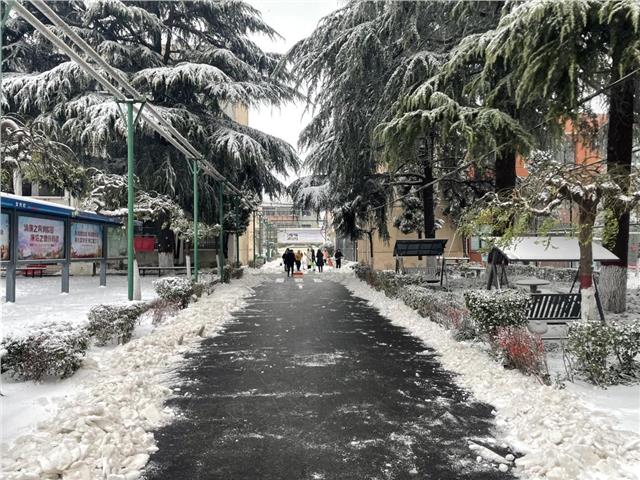 “党员干部先锋行 清雪除冰暖人心”——安阳工学院洹滨校区、明德书院开展清雪除冰志愿服务