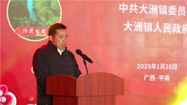 大有可为 同洲共庆——广西平南县大洲镇2025年迎春晚会圆满成功！