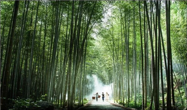 _IBK_3.jpg 陈献春:构建支撑"场景驱动型经济"的理论框架、人才图谱与学科新生态