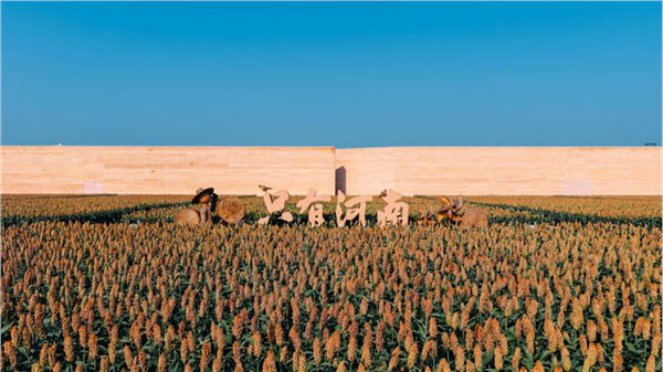 _IBK_3.png 陈献春:运用旅游场景工程学,培育复合型场景架构师