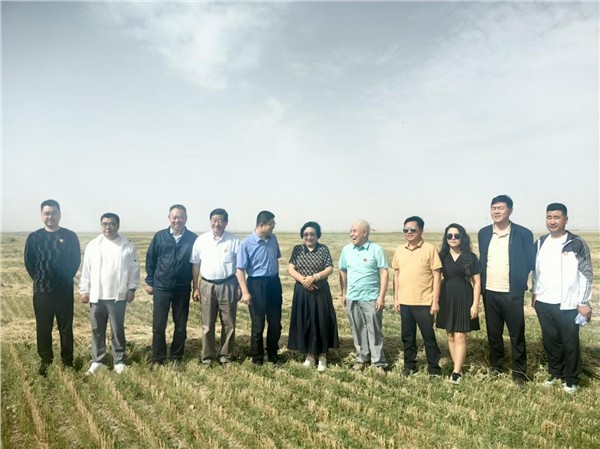 _IBK_8.jpeg 龚氏三杰”获联合国80周年庆典《世界和平和谐奖》受关注