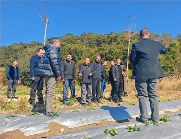 _IBK_2.jpg 广东省功能农业示范基地(惠州)挂牌 赋能惠州乡村振兴产业升级