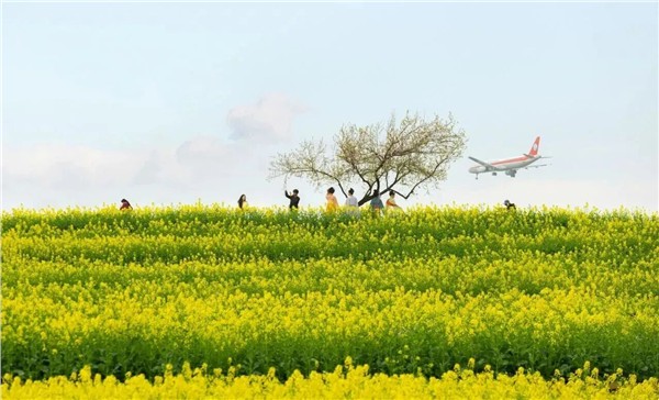 _IBK_1.jpg 陈献春:场景美学是指导“小而美”场景创新的新实践哲学