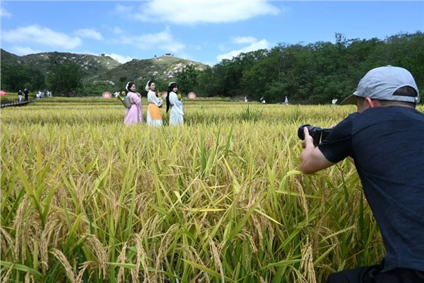 _IBK_3.jpg 陈献春:“小而美”文旅业态发展政策引领乡村文旅发展逻辑根本性转向