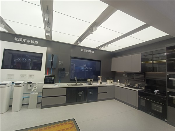 _IBK_9.jpg 中国经贸杂志社副主编郝江华调研澳柯玛集团