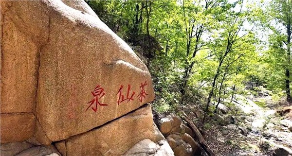 _IBK_2.jpeg 探访少室山 感悟茶仙泉