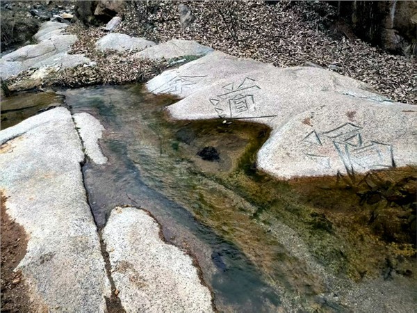 _IBK_7.jpeg 探访少室山 感悟茶仙泉