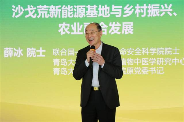 _IBK_图片10.png 乘全国两会东风 抢抓万亿级赛道 新疆麦盖提沙戈荒特大型新能源基地全速起航