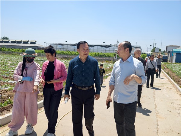 _IBK_2.jpg 调研赋能促发展 农文旅融合谱新篇——安阳市企联专家走进河南麦多生态农业科技有限公司