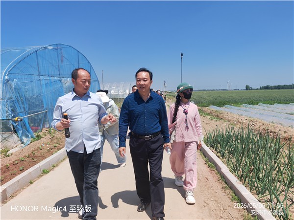 _IBK_8.jpg 调研赋能促发展 农文旅融合谱新篇——安阳市企联专家走进河南麦多生态农业科技有限公司